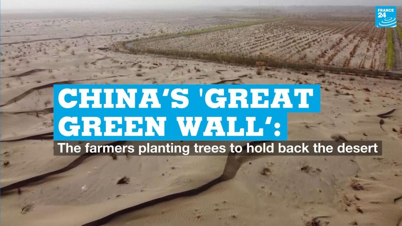 China’s 'Great Green Wall’ The farmers planting trees to hold back the